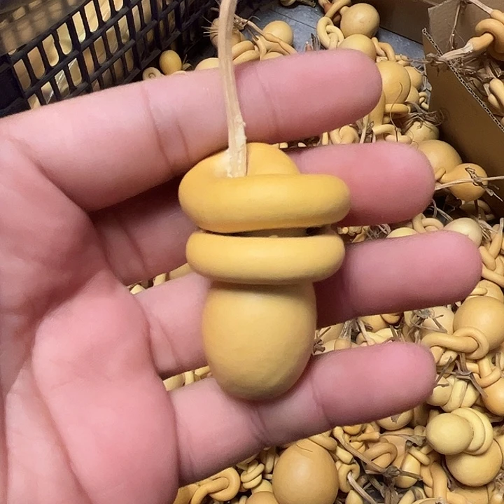 一把破葫芦真便宜