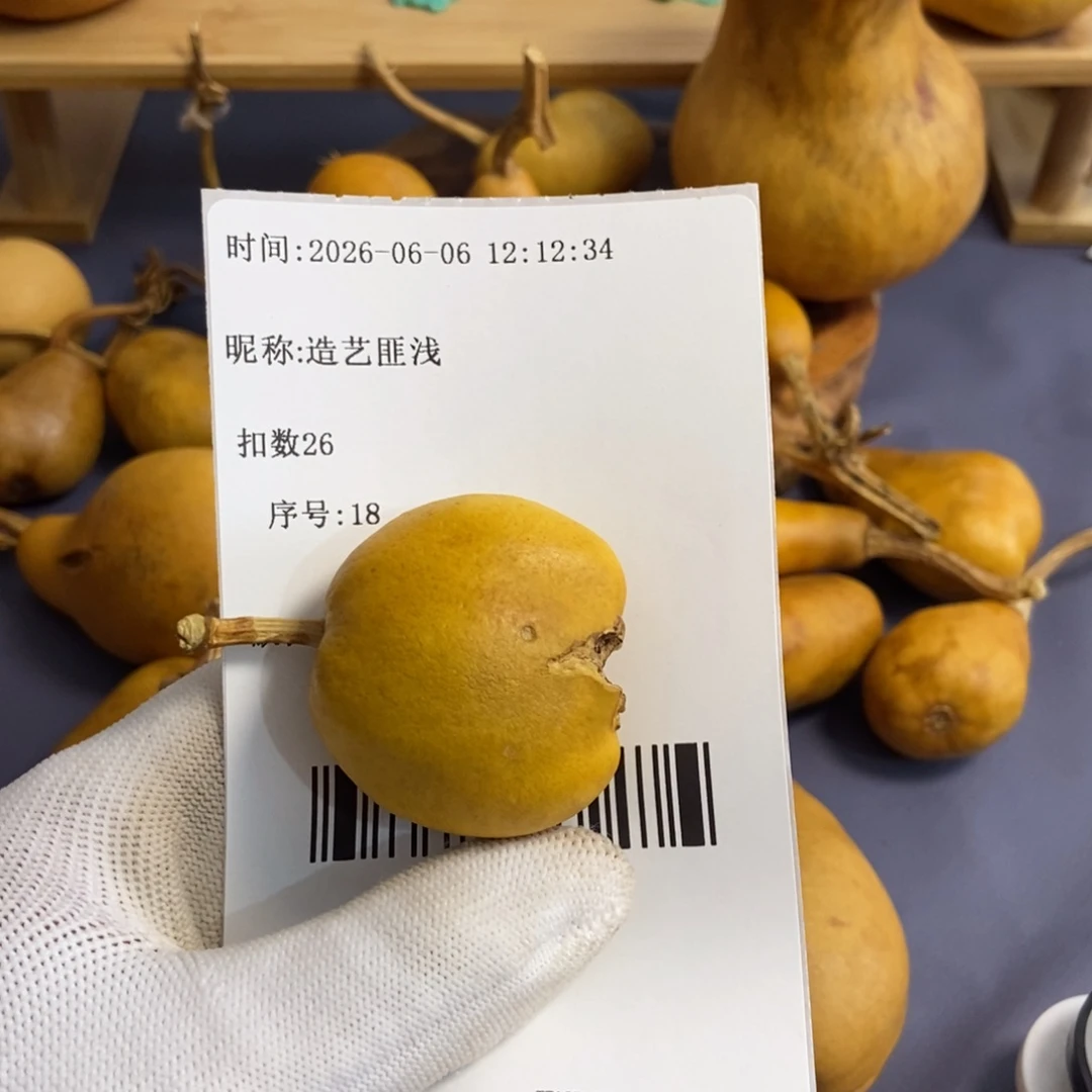 造**浅哈哈哈哈哈哈哈哈哈