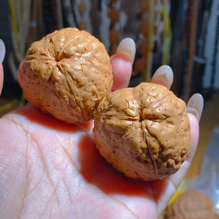 野生三瓣大金刚光头强4045