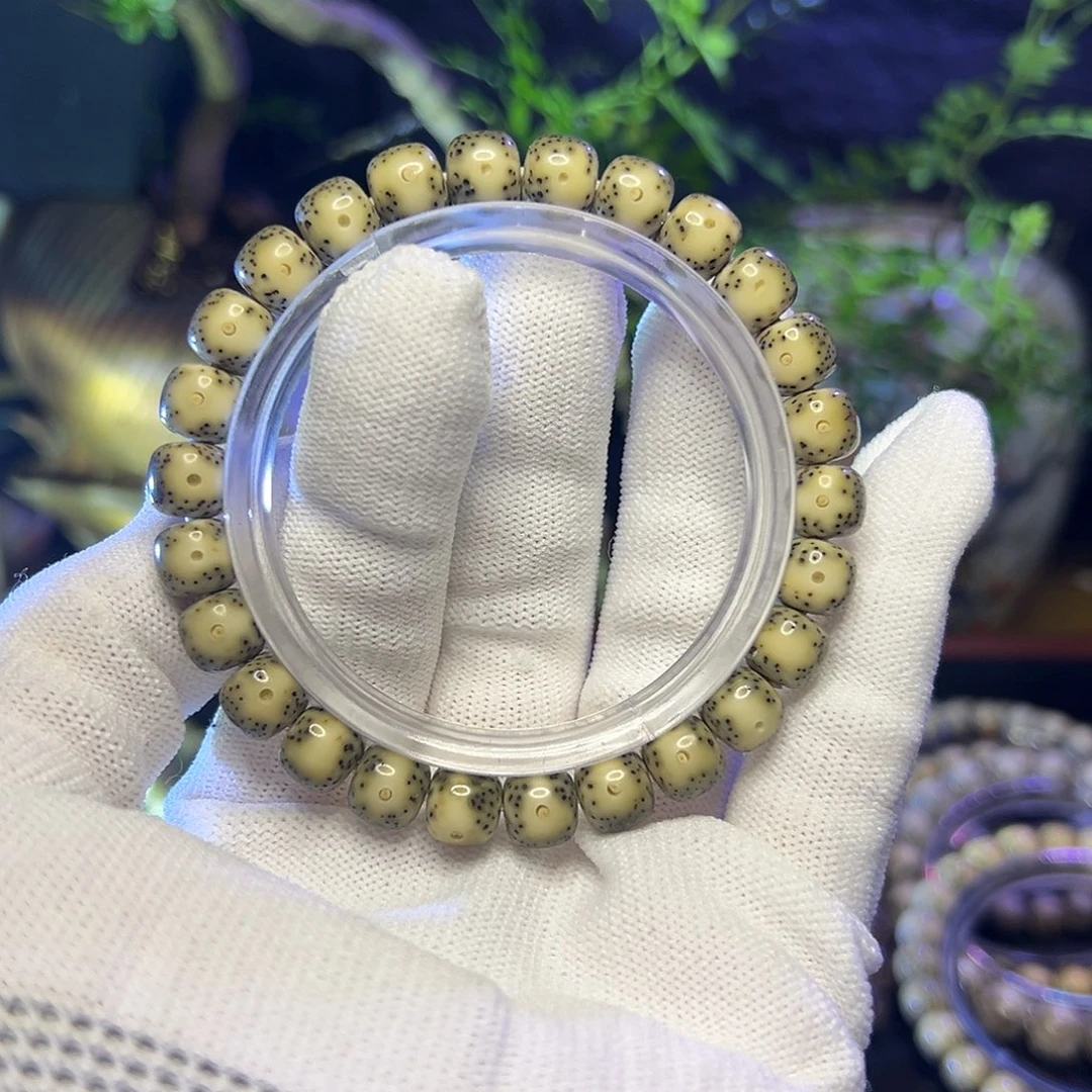 星月菩提手串海南原生态