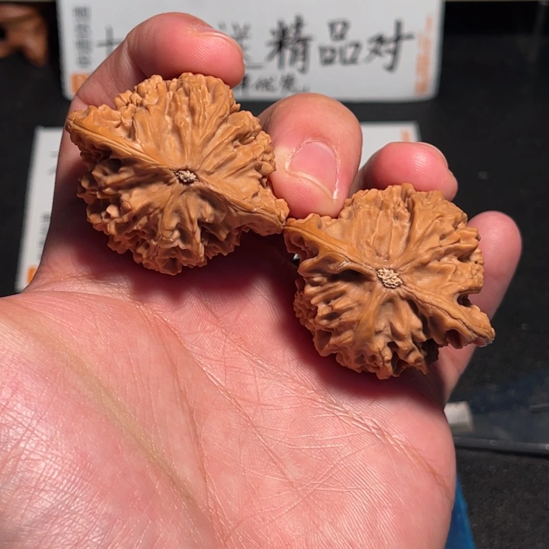 43盘龙纹狮子头尖有修