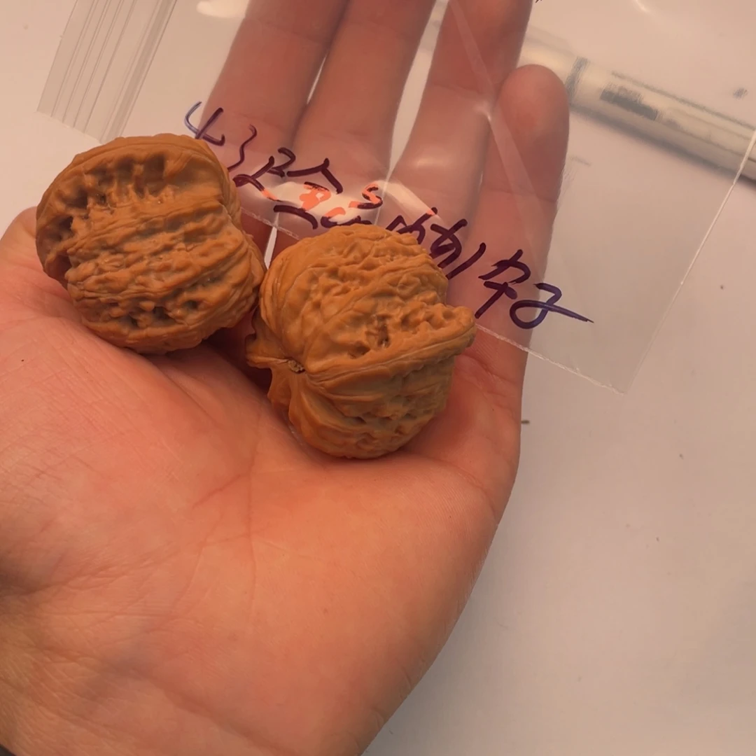 手串/手链核桃004