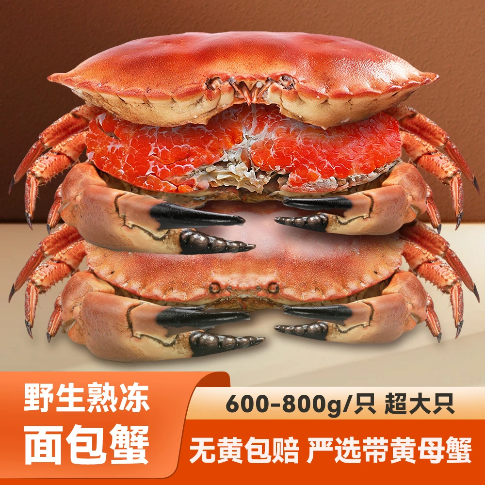 【临期清货】25年11月到期英国进口野生熟冻面包蟹饱满带膏600-800g