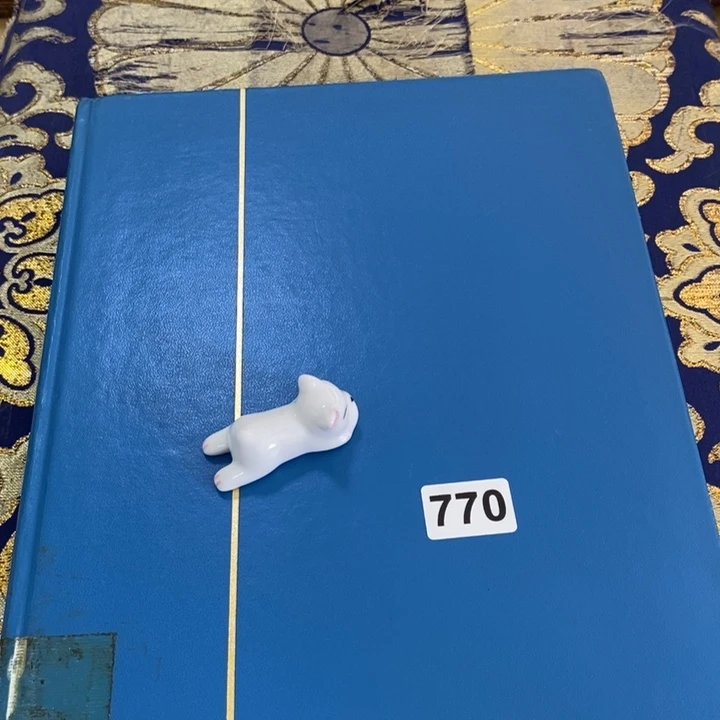 瓷片哦哦哦哦哦哦哦哦哦哦哦