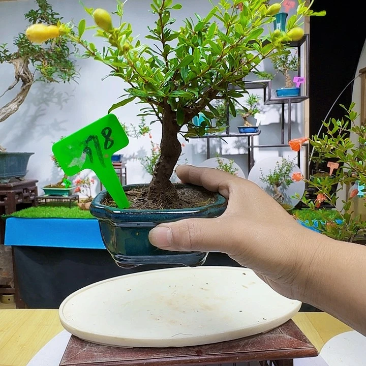 户***友d f g h j k l