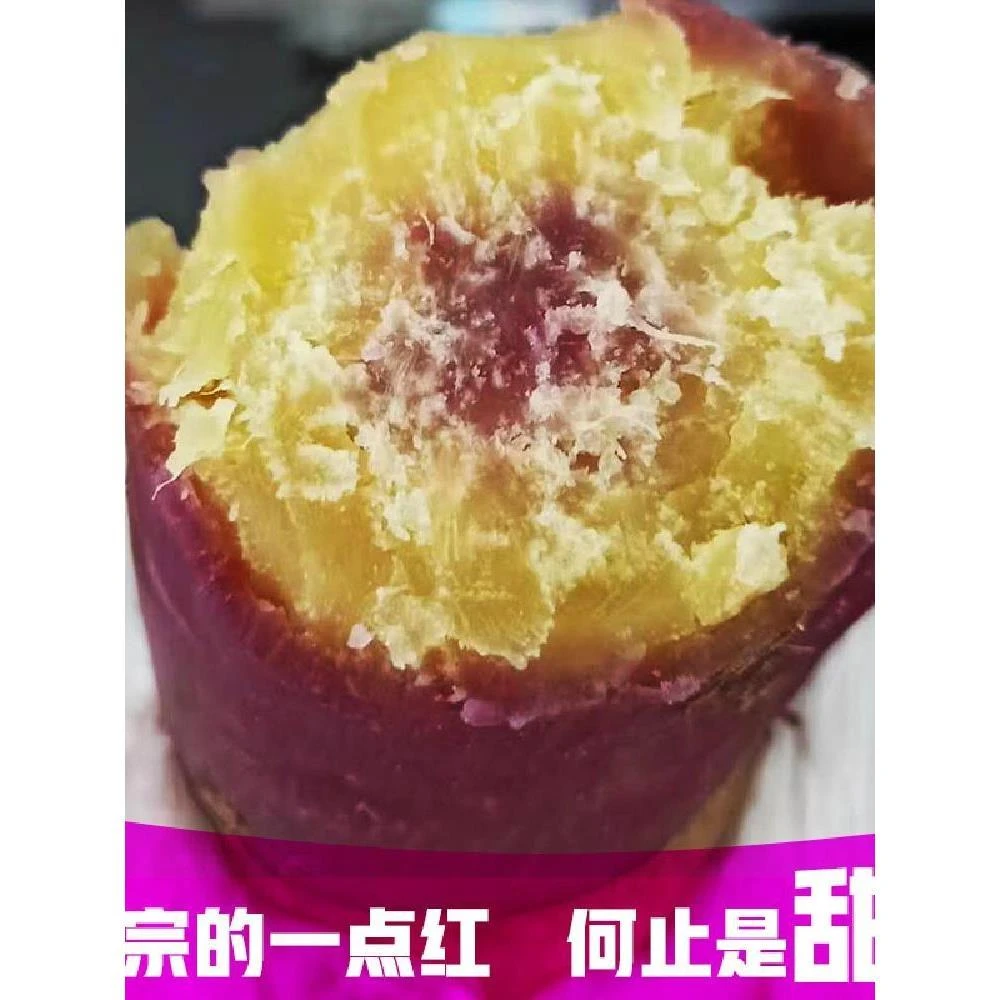 南沙一点红番薯正宗 冰激凌红薯沙地板栗地瓜冰淇淋山芋老人爱吃5