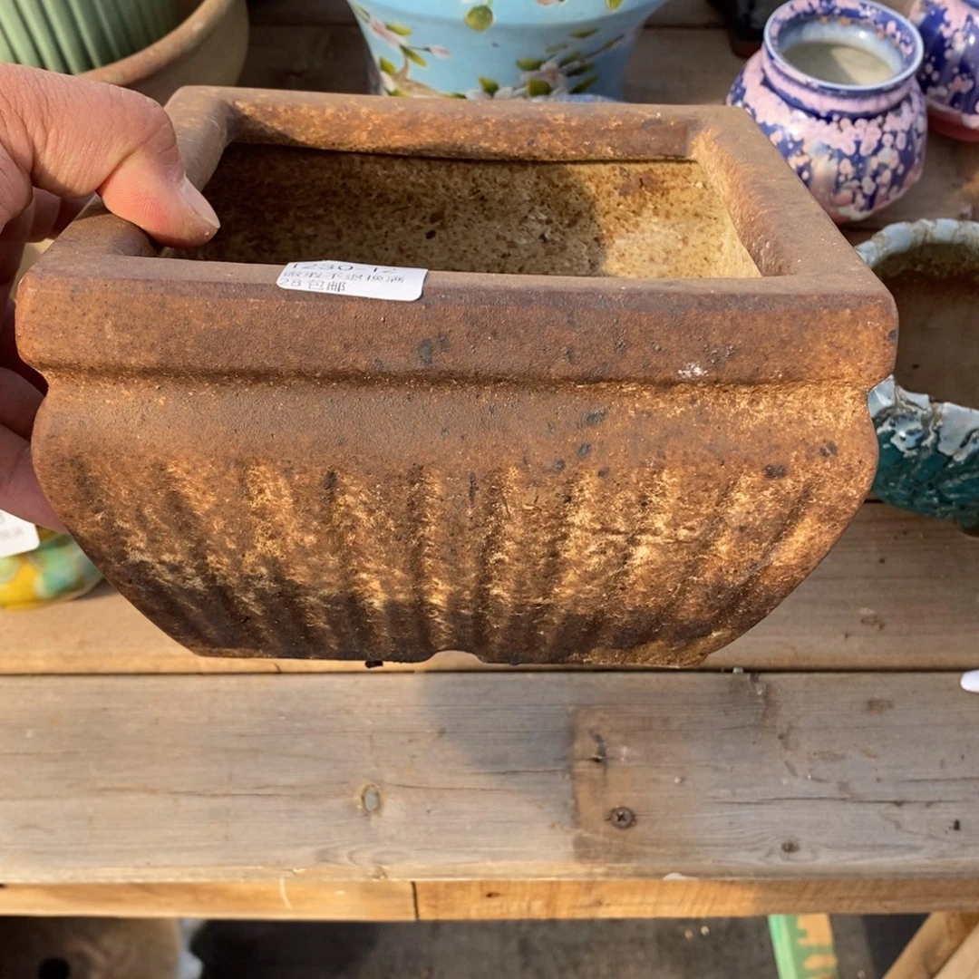 12号花盆内14.5高11