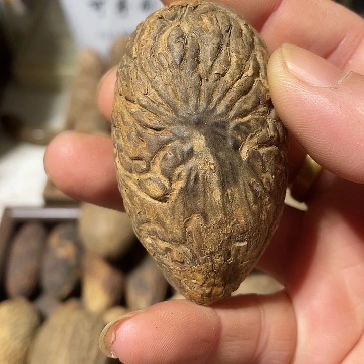 会***好千眼菩提吊坠天然千眼菩提不退不换