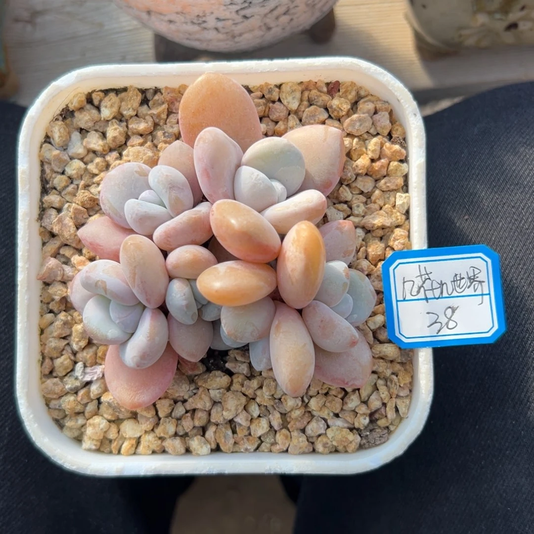 几***界11111111111111111111