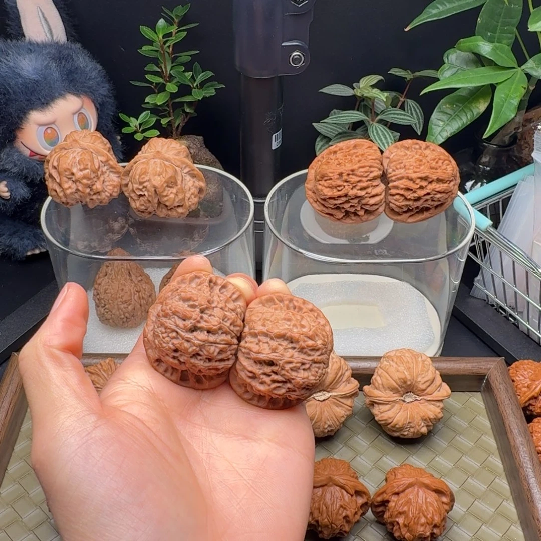 龙脊菩提吊坠全品血麒麟40