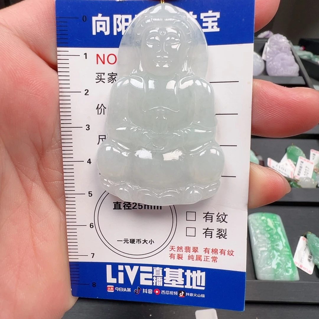 翡翠未镶嵌颈饰冰观音