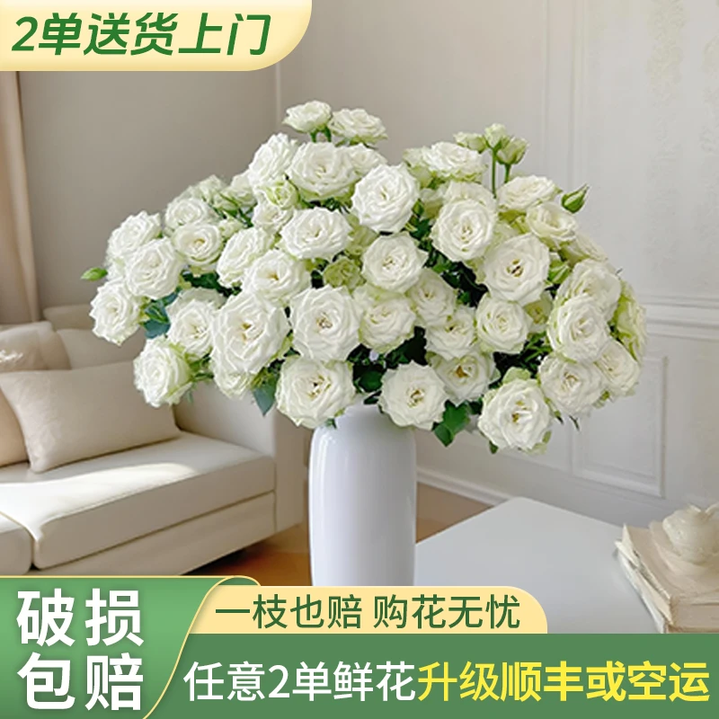 【源头优选】繁星多头玫瑰-任意2单鲜花包邮 发货后不支持退款