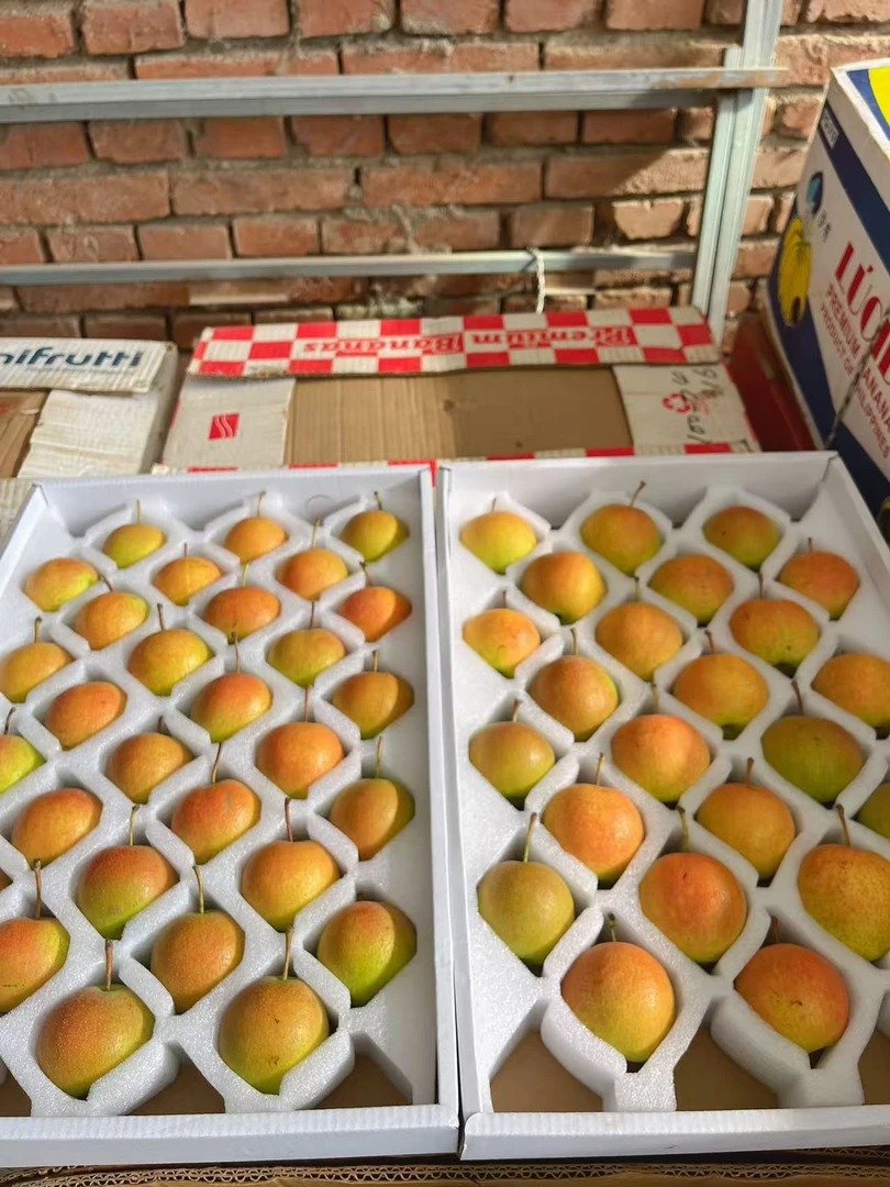 红南果梨 色泽鲜艳 多汁 应季水果