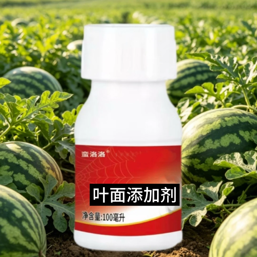 满洛洛 (蜘 )(蛛) 叶面添加剂 助剂
