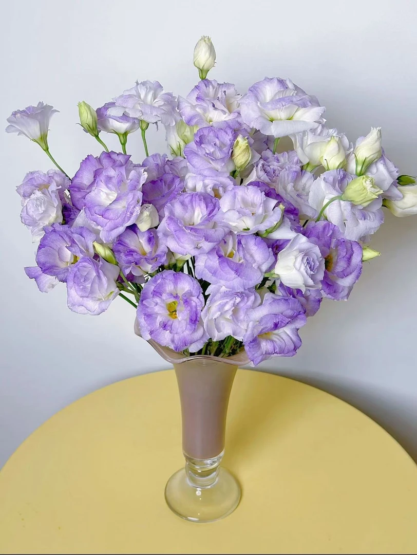 【烟灰紫色洋桔梗】全场鲜花任意两单及以上包邮