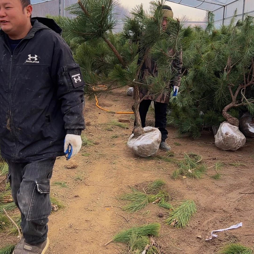 南****风88888888888