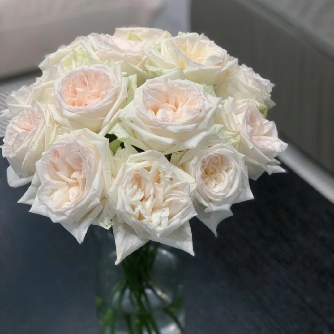 满39起送单支荔枝玫瑰［颜色随机不接受备注］有清香味