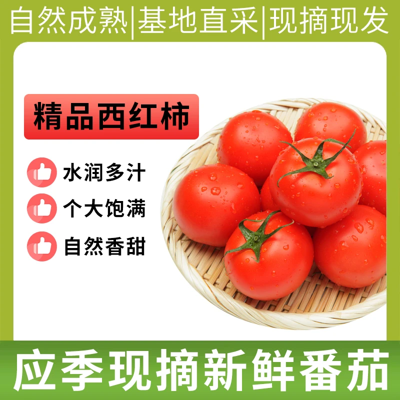 新鲜蔬菜番茄西红柿2斤/3斤/5斤当季新鲜时令蔬菜