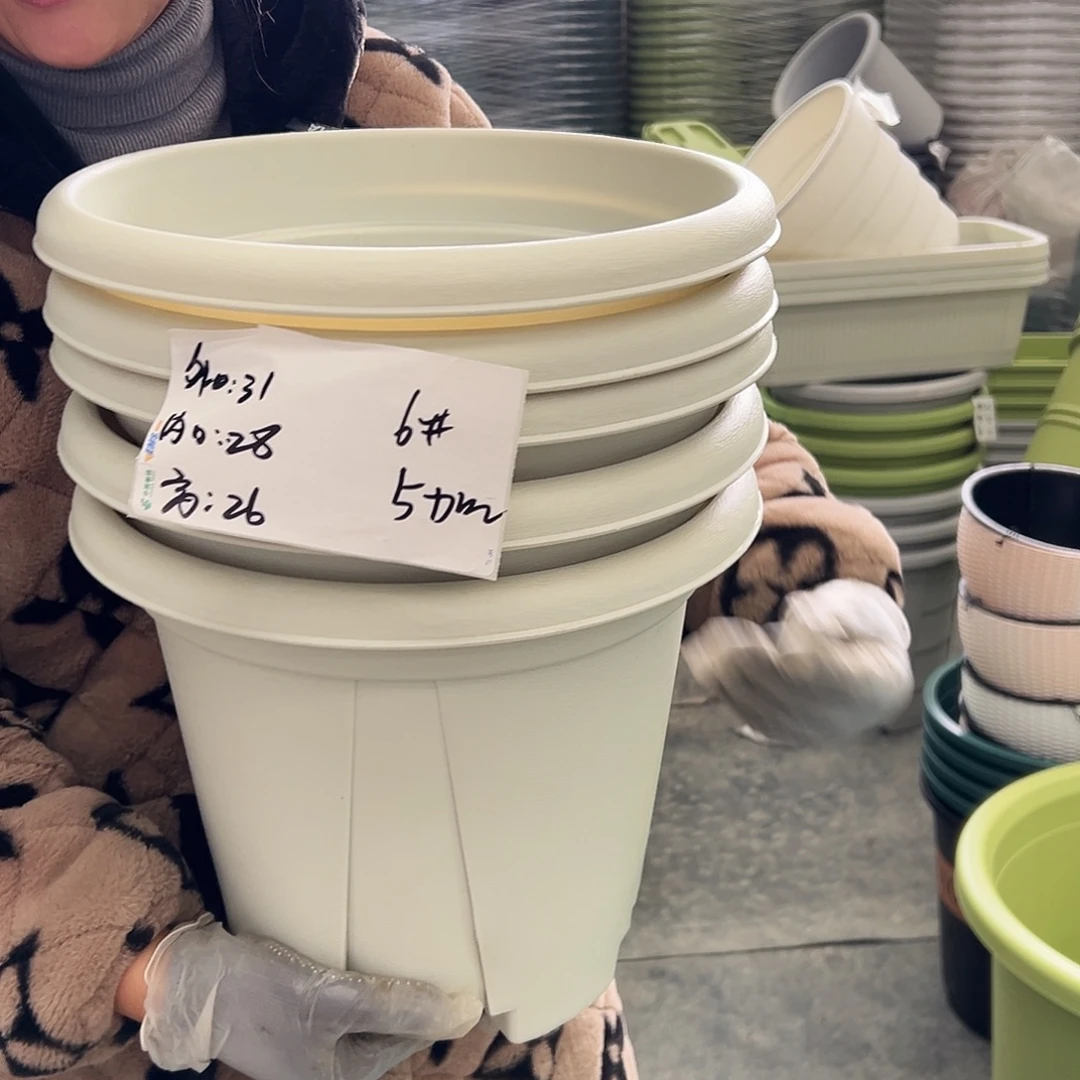 青山盆6#米白色5个无托