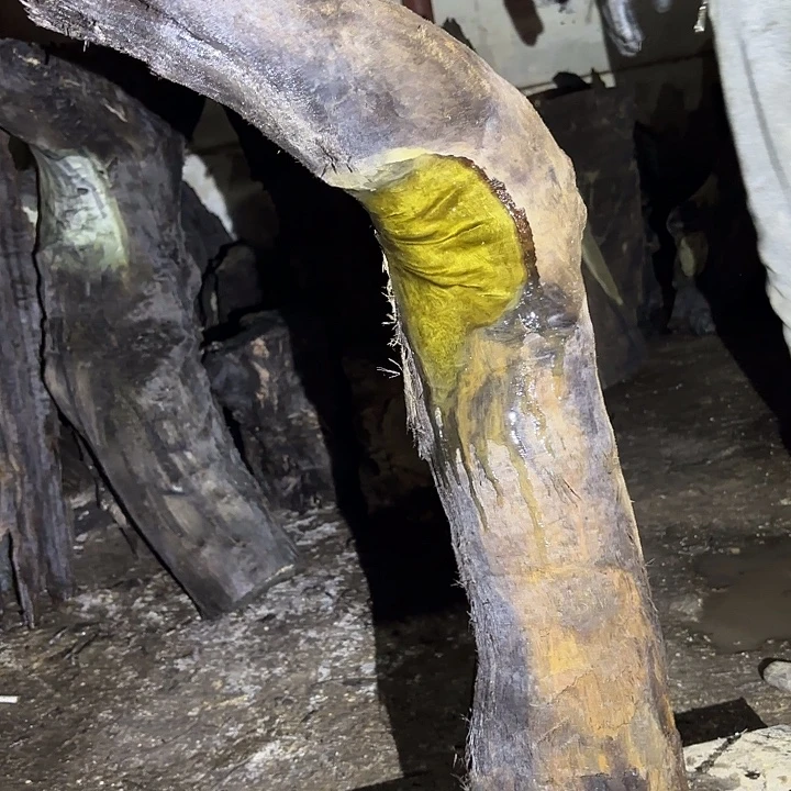 任***洪乌木金丝楠摆件毛料