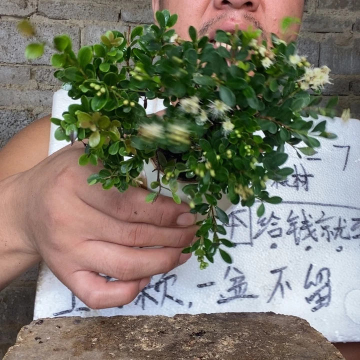 退款拉黑一物一拍37
