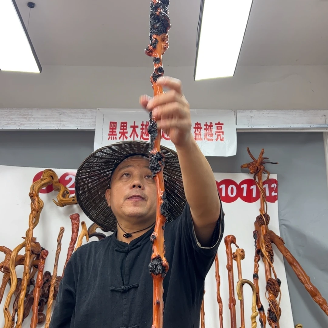 其他黑果木黑果木419
