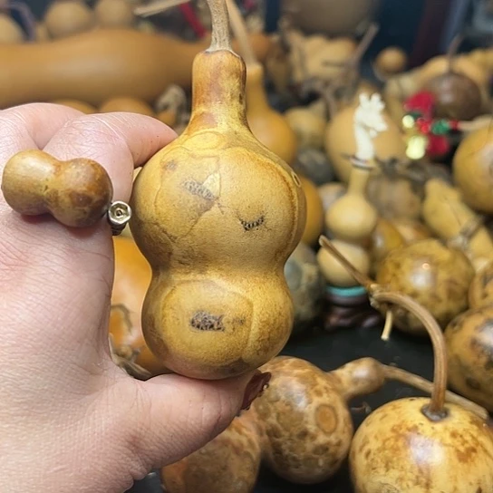 ꧁**꧂葫芦葫芦葫芦葫芦