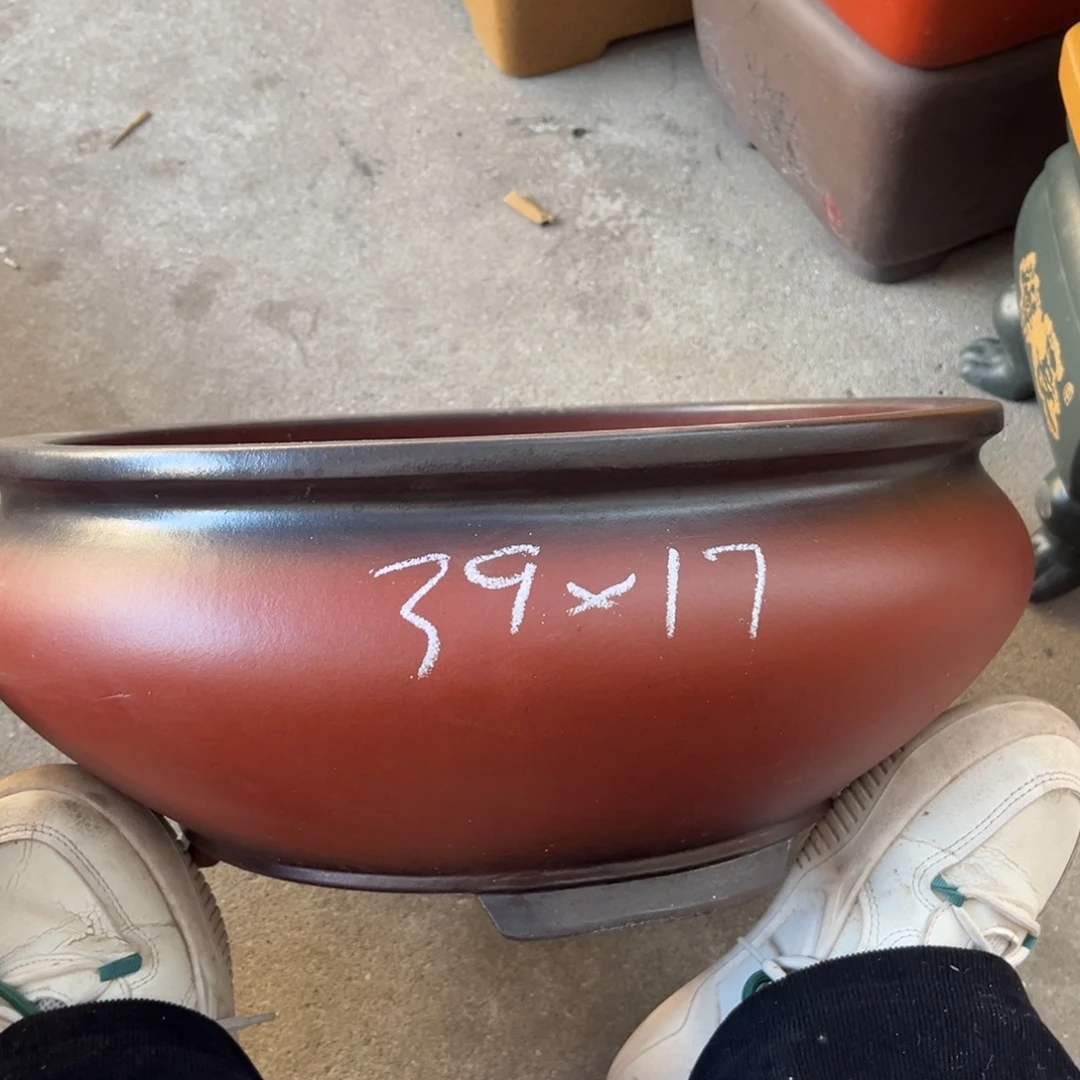 紫砂花盆盆景艺术