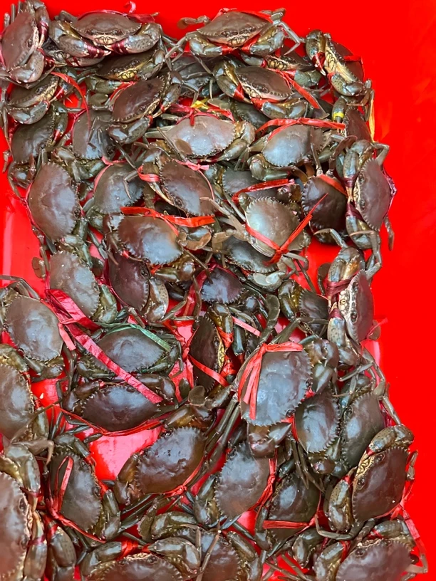 螃蟹秋米顺丰发货