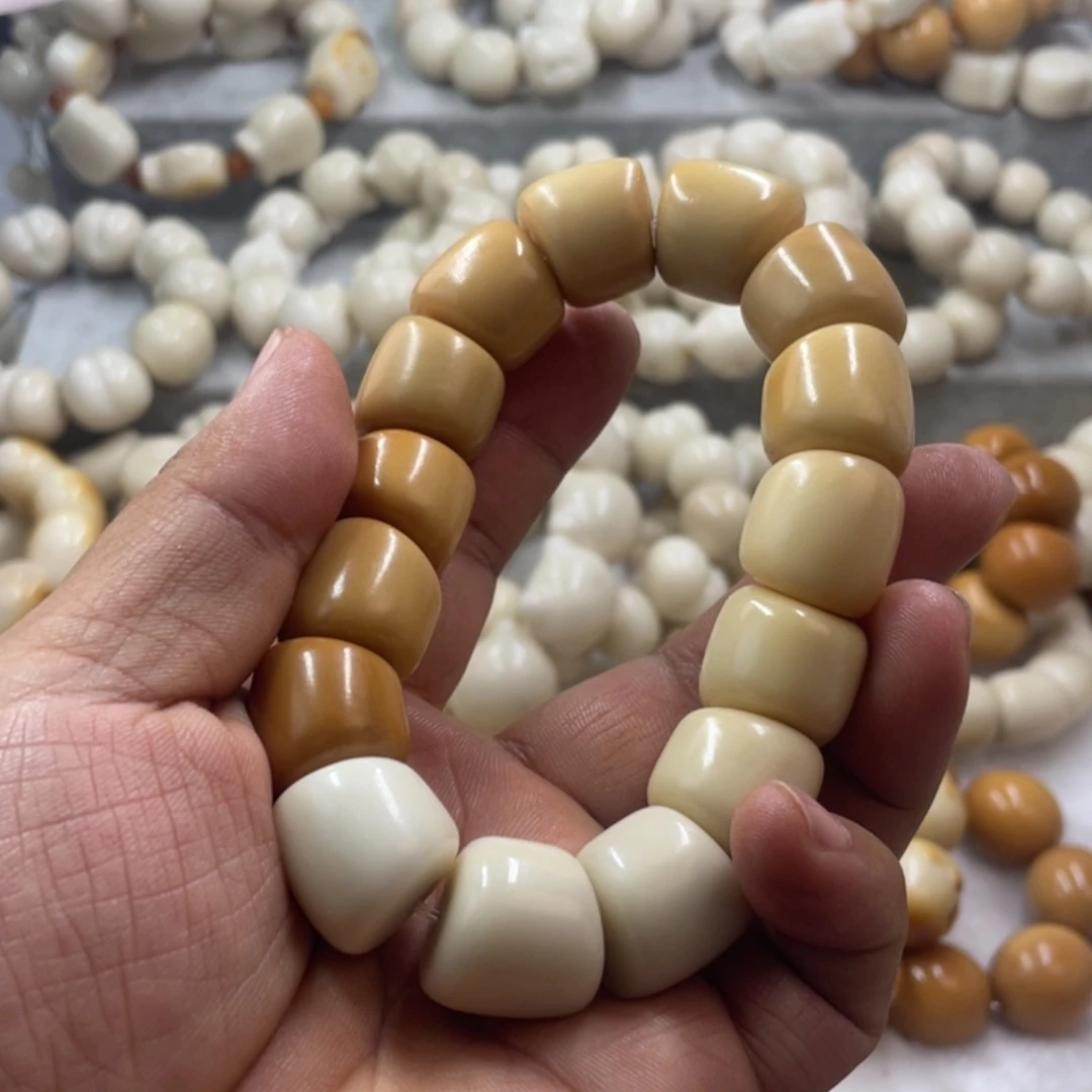 吊坠菩提根/象牙果微微瑕象牙果马蹄桶大肠卡18