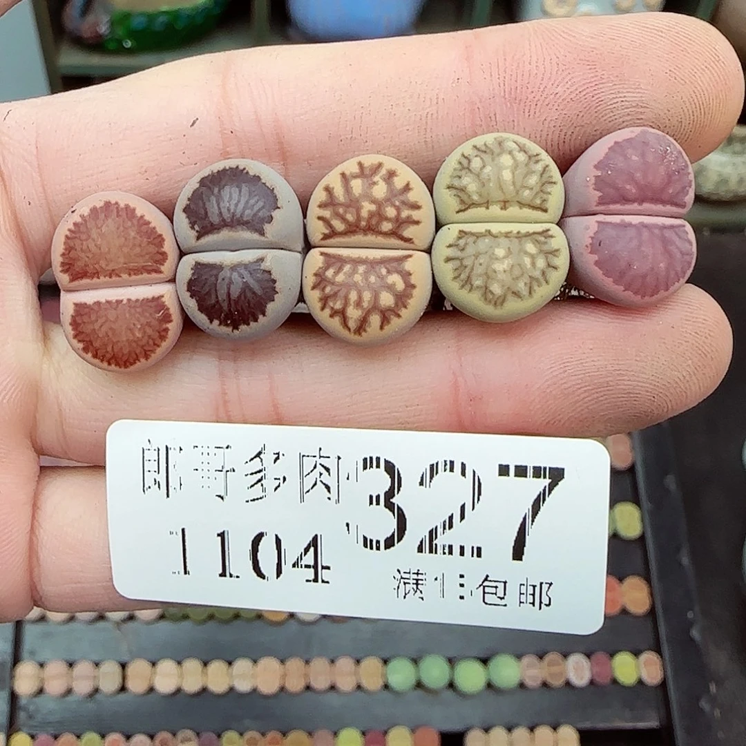 满满18包邮1104-327