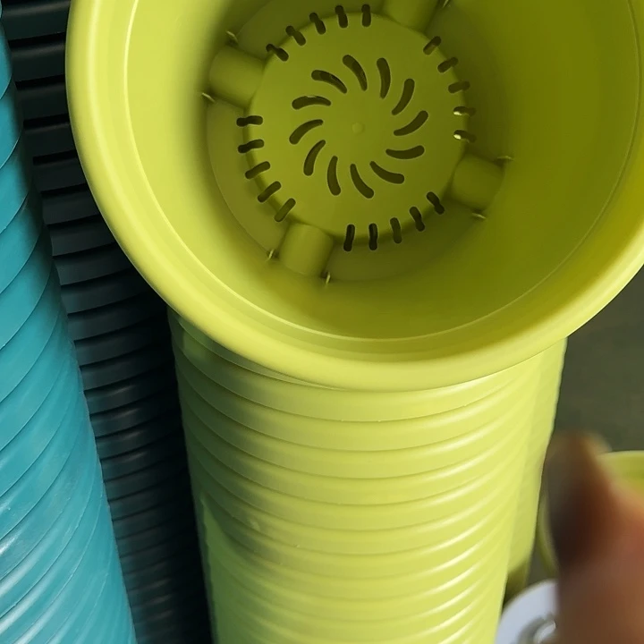 四季4号果绿无托10个特价微瑕