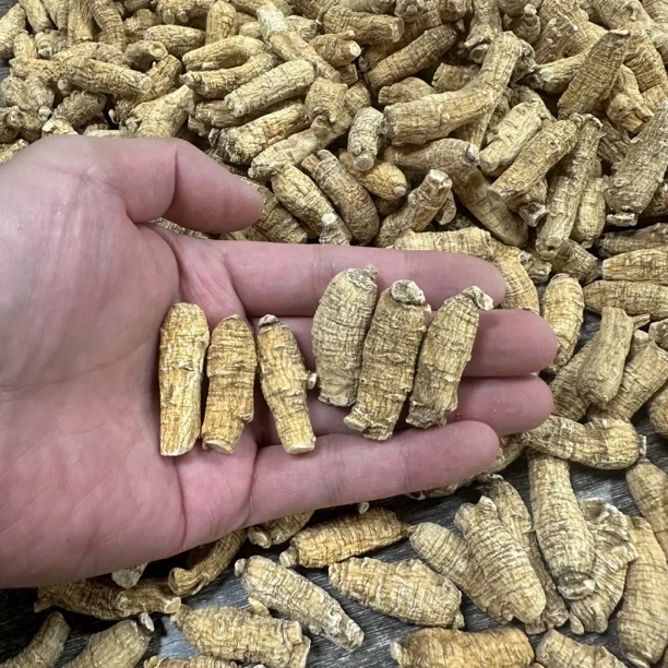 短枝足龄西洋参可切片打粉参味浓郁*煲汤泡酒