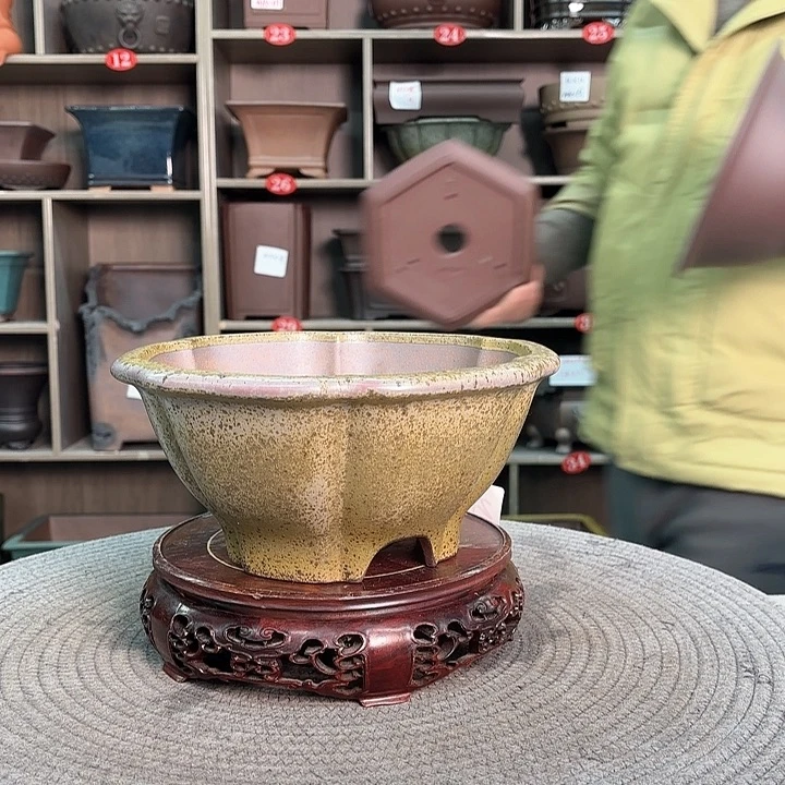 紫砂花盆天**风紫砂的味道很浓