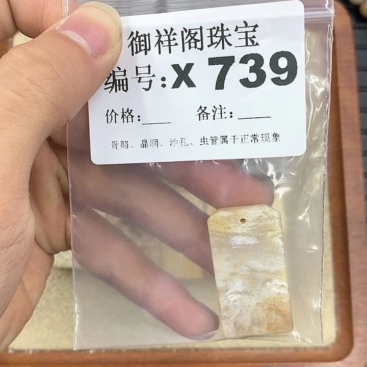 硅化珊瑚（珊瑚玉）颈饰未镶嵌玖*