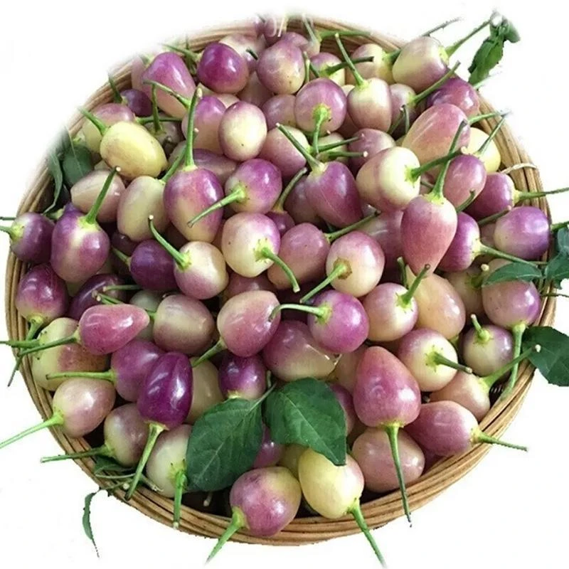 新鲜七彩椒灯笼椒广西特色五彩椒可泡椒腌制辣椒剁椒五色椒特辣椒