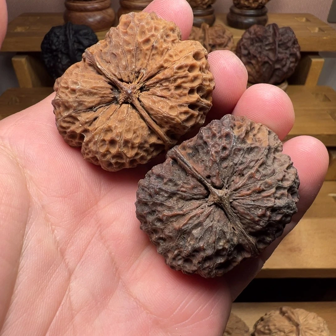 吊坠文玩核桃梅花官座41.5mm