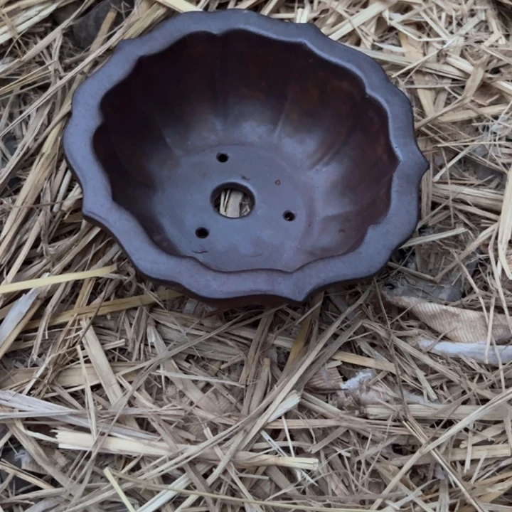 自**?紫砂碗盆碗盆碗盆