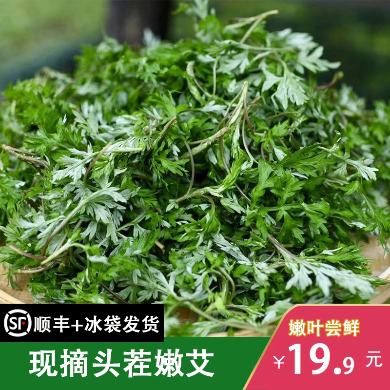 艾草新鲜食用现摘清明糍粑青团艾叶