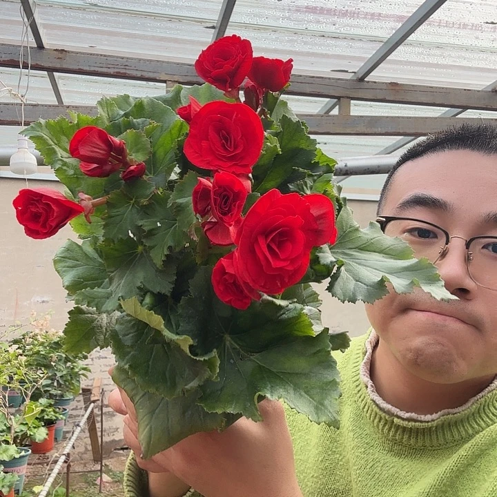 完全开放深红➕保温