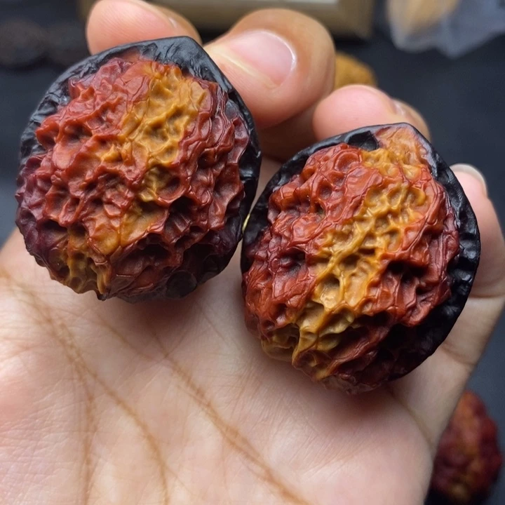把件文玩核桃40尺珊瑚绣球