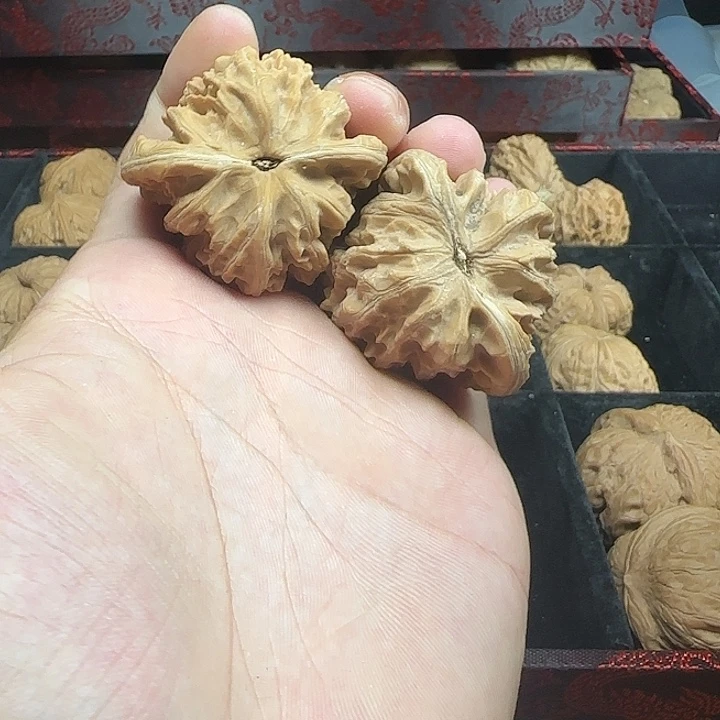 独***睡吊坠龙脊菩提啊啊啊啊啊啊啊啊啊啊啊17