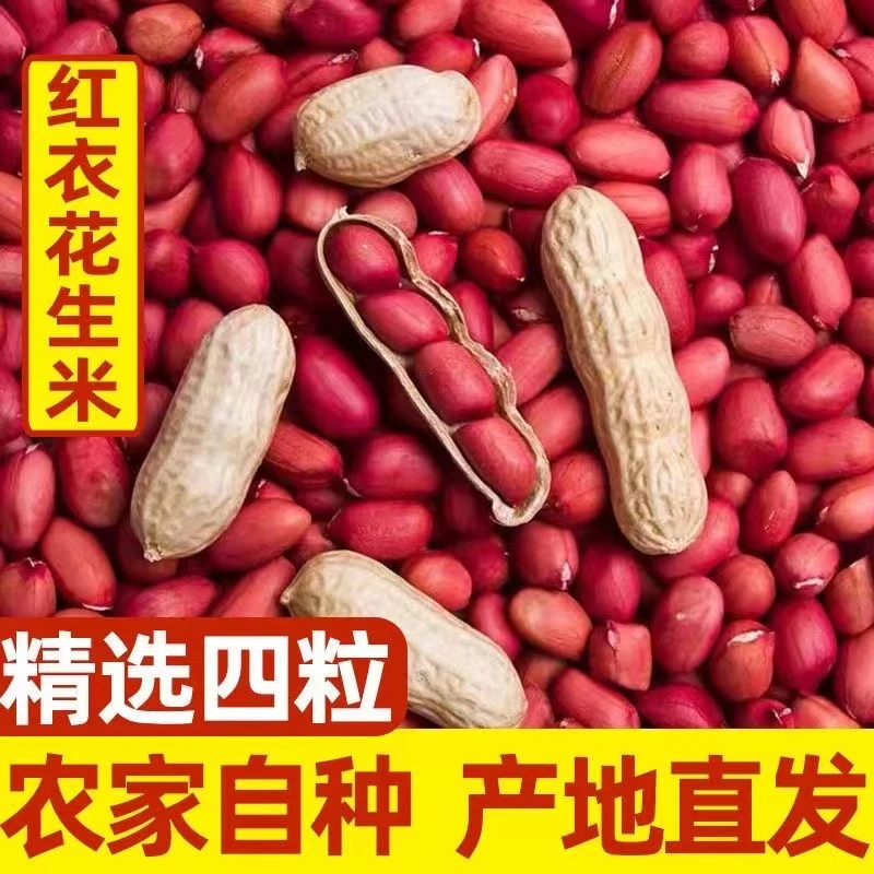 新花生四粒红新鲜颗粒脱壳花生米晒干食用美味好吃