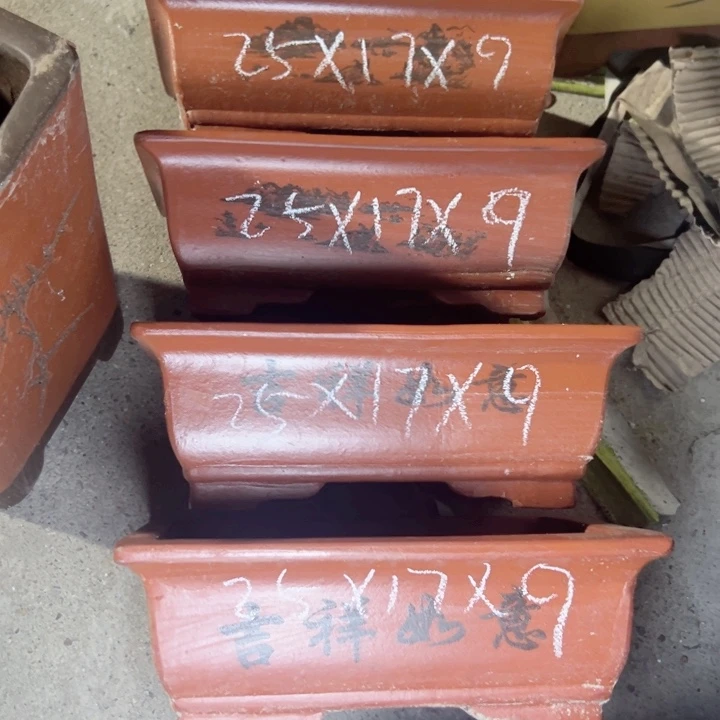 周深周深周深周深