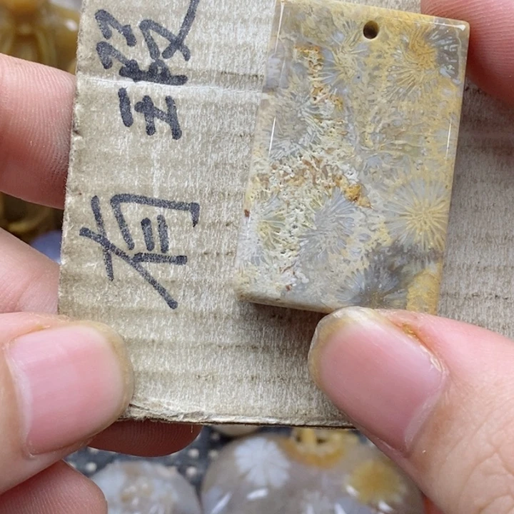 颈饰未镶嵌硅化珊瑚（珊瑚玉）九***天小