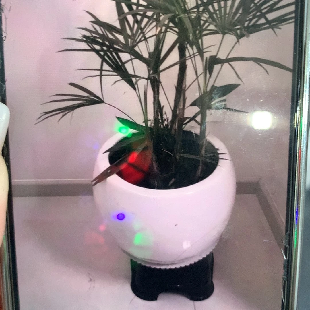 陶瓷花盆微瑕系列