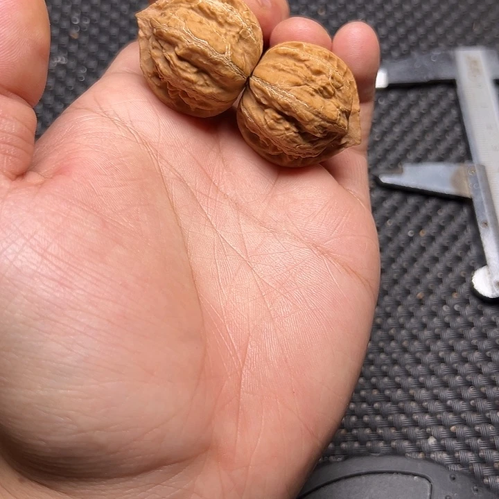 文玩核桃吊坠小霸王龙