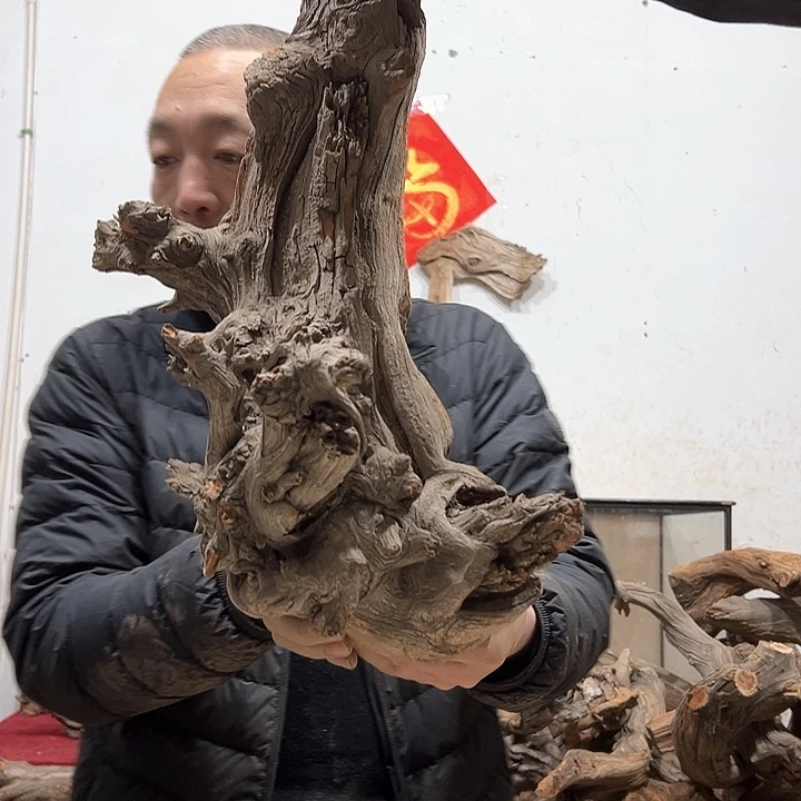 柏木橡***你我们都是好孩子呀我