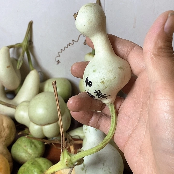 酒***子青皮葫芦手把件摆件