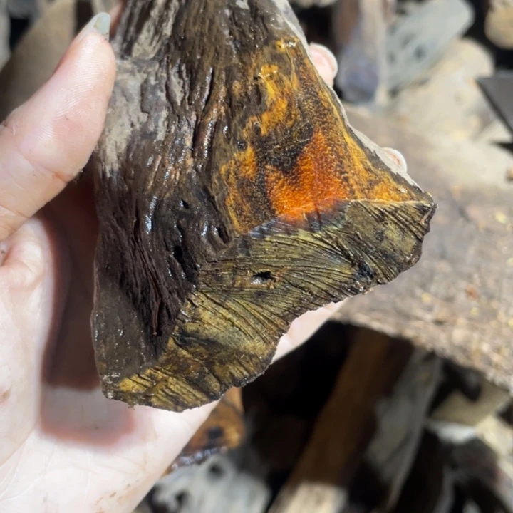 贡木手串/手链用****好感谢大家